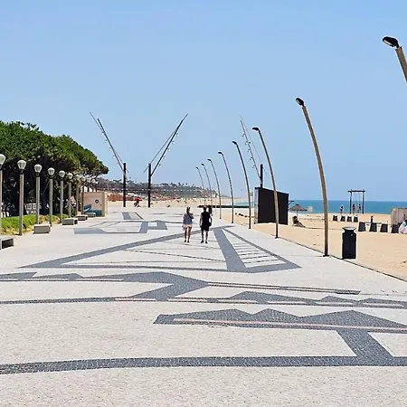 Girassol A 20 Metros Da De Quarteira